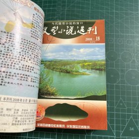 微型小说选刊2008.17-24（8册合售）