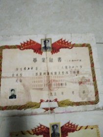 毕业证2张加独生子女证一张共3张（厨3）