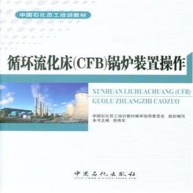 循环流化床（CFB）锅炉装置操作