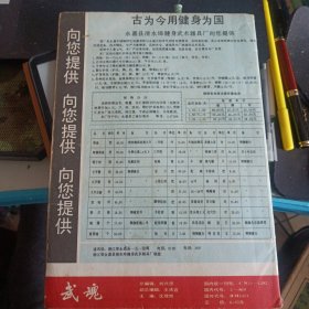 武魂杂志1988.6 1988 6 六合螳螂拳实用技法精粹 咏春木人桩实用功法一百六十五法 十二段锦等内容