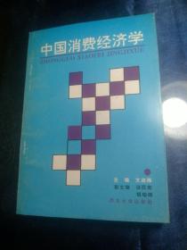 中國(guó)消費(fèi)經(jīng)濟(jì)學(xué)(1990年一版一印，僅印2000冊(cè))