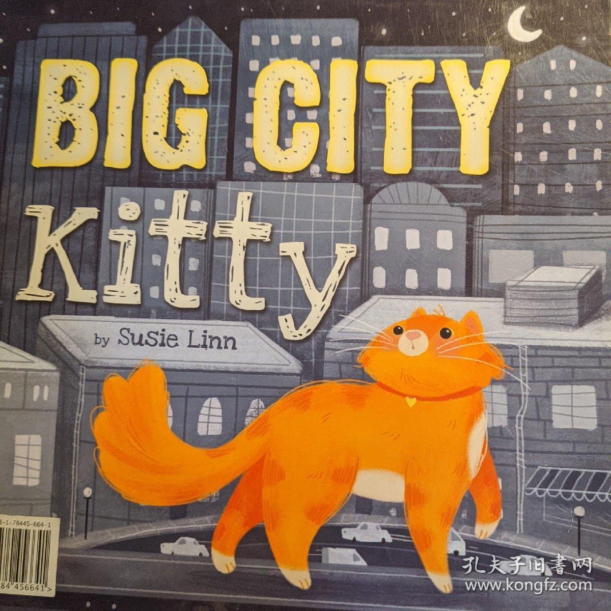 big city kitty