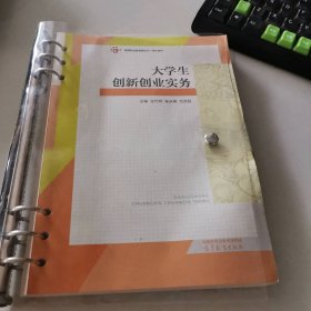大学生创新创业实务