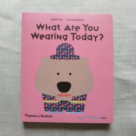 What Are You Wearing Today? (Flip Flap Pop-Up) 抽拉书 内页有一页破损 见图