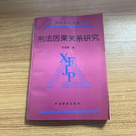 刑法因果关系研究