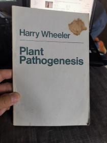 Plant Pathogenesis[植物发病过程]（外品如图，内页部分页有笔迹，整体的85品）