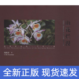 山花烂漫