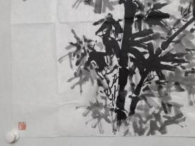 保真书画，当代国画名家，刘明星《师竹真君子也》国画一幅，软片，尺寸69×136cm。