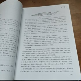 长江口鱼类(第2版)