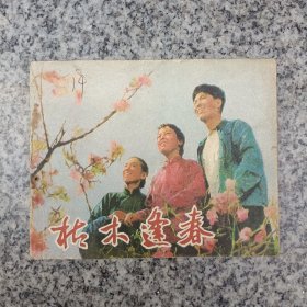 枯木逢春