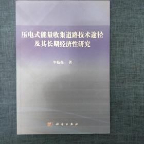 压电式能量收集道路技术途径及其长期经济性研究