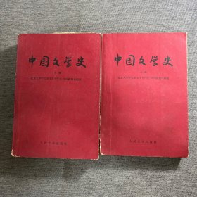 中国文学史 上下册