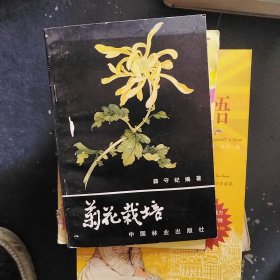 菊花栽培