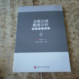 文明古国能源合作智库论坛集萃