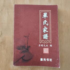 毕氏家谱 2021版--最新版本 正版
