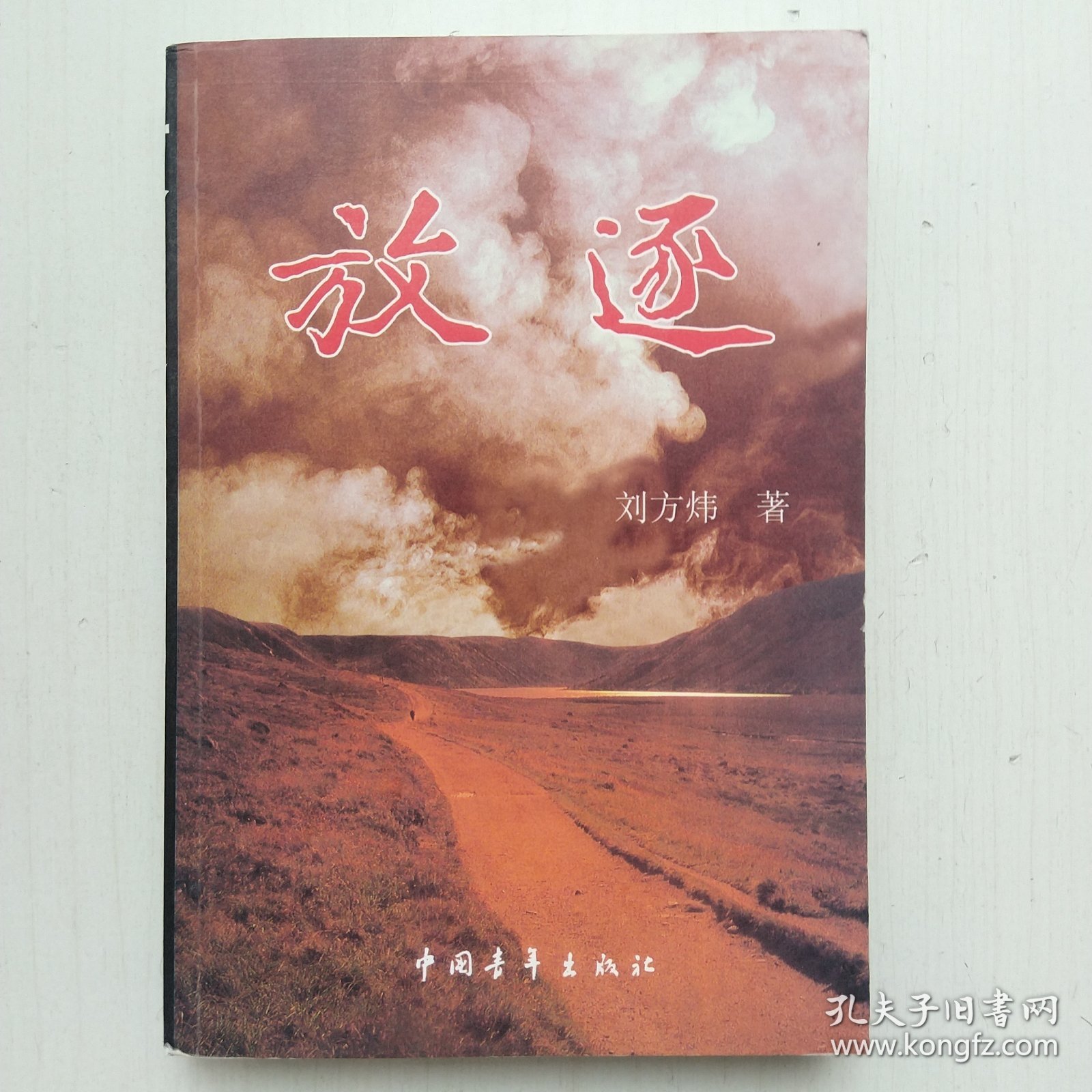 放逐(上下两册全，刘方炜 著，被迫沉睡的作品)