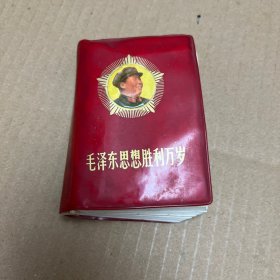 毛主席思想胜利万岁