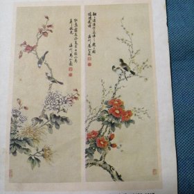 年画缩样散页：《花卉小鸟对屏》