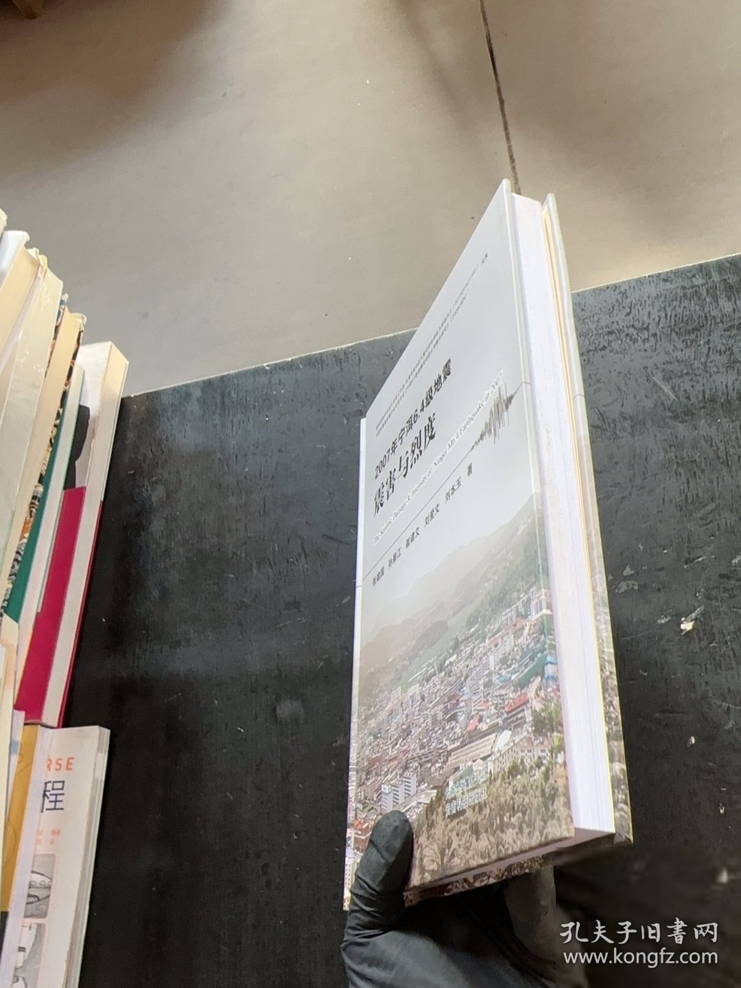 2007年宁洱6.4级地震震害与烈度