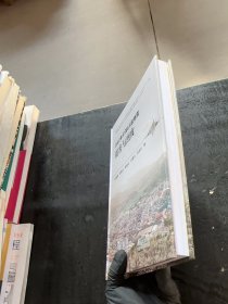 2007年宁洱6.4级地震震害与烈度