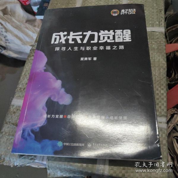 成长力觉醒：探寻人生与职业幸福之路