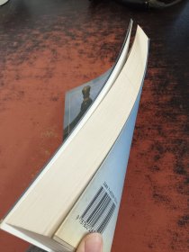 中国式摔跤精粹