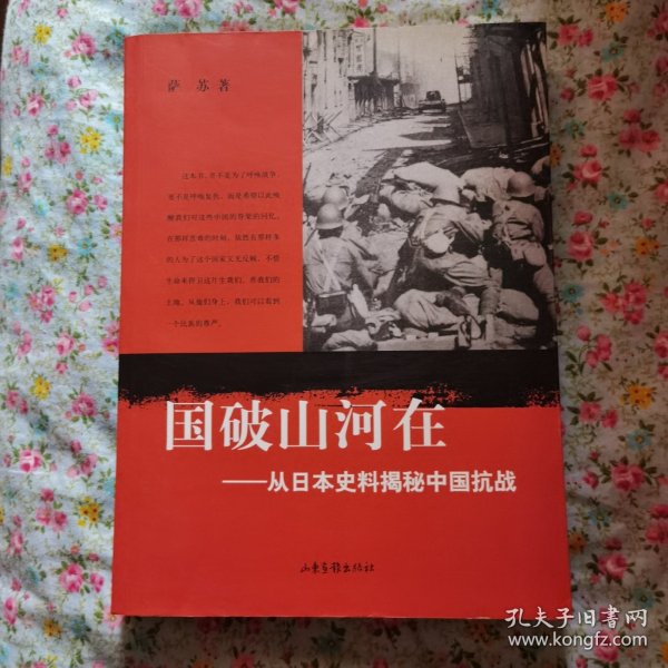 国破山河在：从日本史料揭秘中国抗战