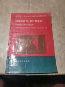 助理会计师、会计师实务（企业会计类）（增订本）