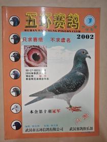 五环赛鸽 2002