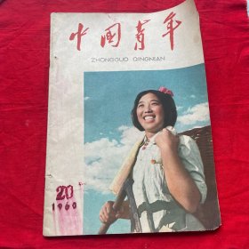 中国青年1960年20期