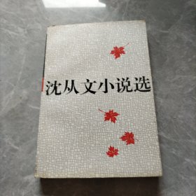 沈从文小说选（下）