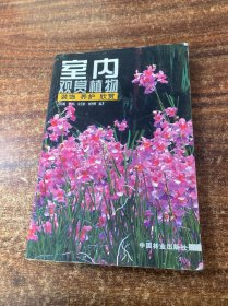 室内观赏植物：装饰、养护、欣赏