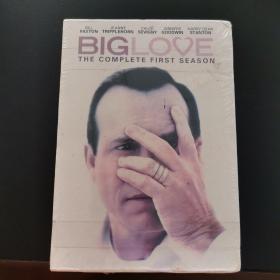 DVD：BIG LOVE