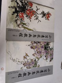 传统中国画技法详解：小写意花鸟画教程（上册）书脊有点磕碰