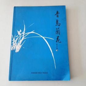 青岛兰花