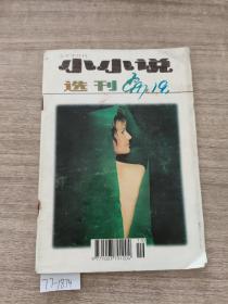 小小说 选刊