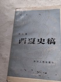 西夏史稿（实物拍照