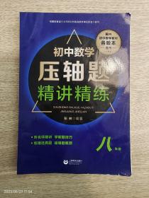 压轴题精讲精练（数学 八年级）