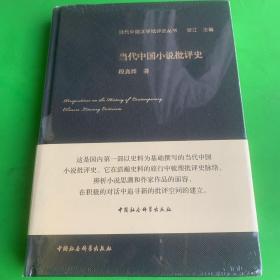 当代中国小说批评史/当代中国文学批评史丛书