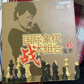 国际象棋战术组合集萃（下）