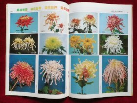 《中国花卉盆景》1997.10庆祝创刊13周年号