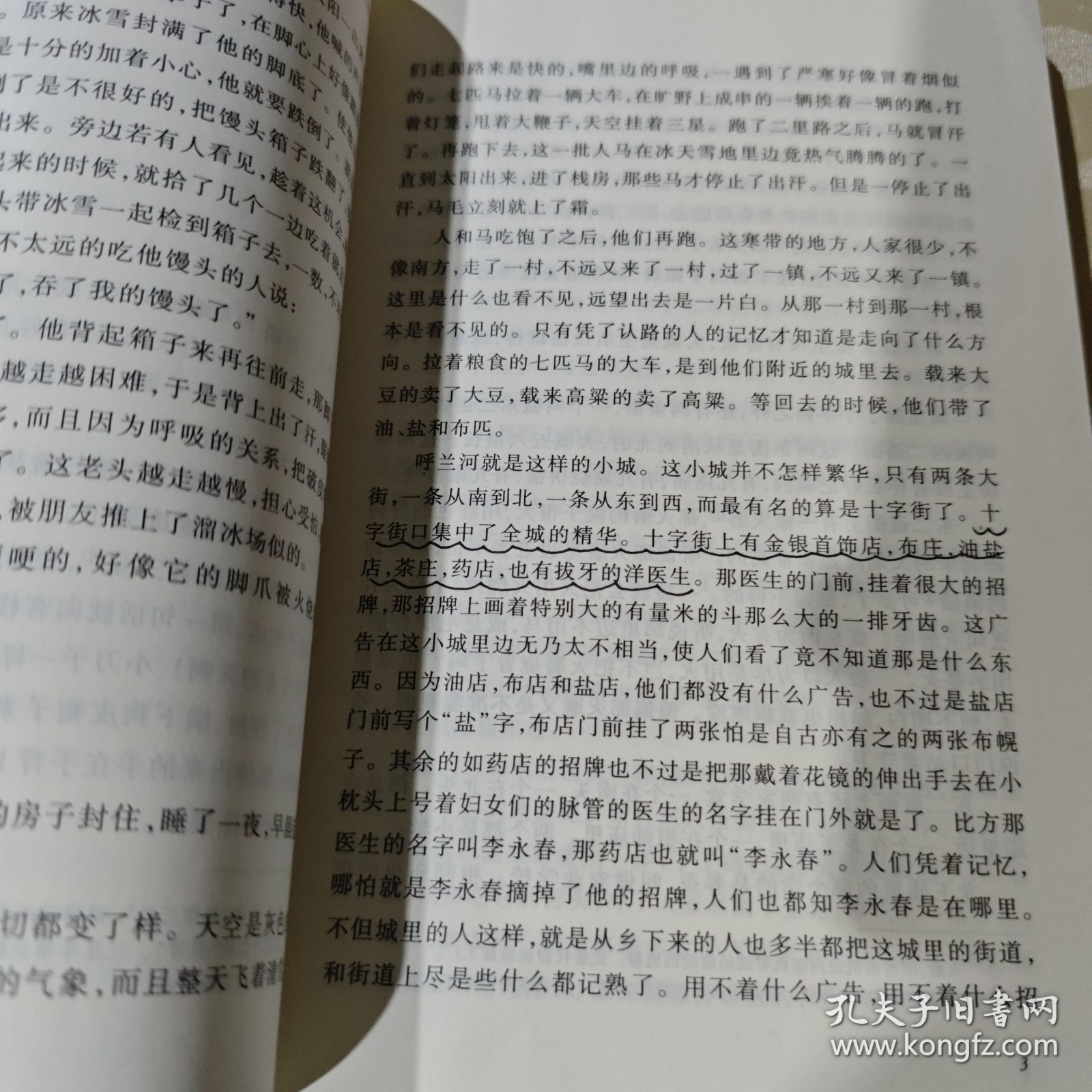 点击查看原图 呼兰河传