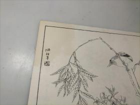 花鸟书参考资料