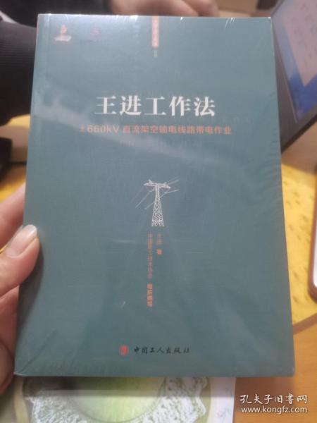 王进工作法：±660kV直流架空输电线路带电作业/大国工匠工作法丛书