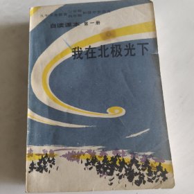 我在北极光下