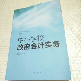 中小学校政府会计实务