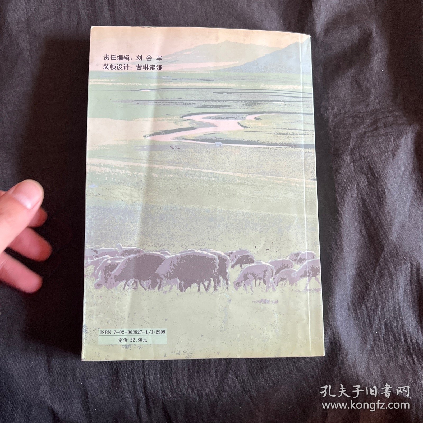 静静的艾敏河