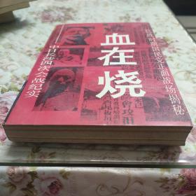 血在烧——中日长沙四次会战纪实