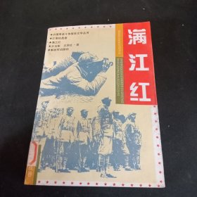 满江红：中国革命斗争报告文学丛书.江南抗战卷