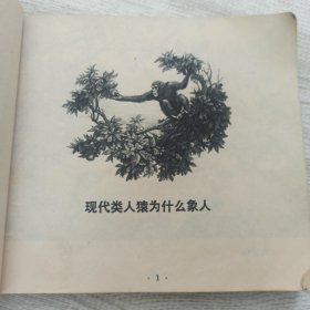 从猿到人 上海自然博物馆编 上海人民出版社 1973年一版一印